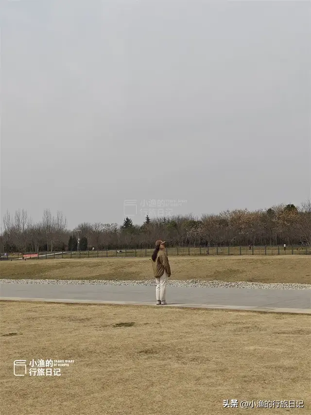 西安“天下第一宫”，是世界最大宫殿基址，面积相当2/3个故宫