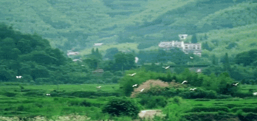 体荟四季｜逃离40℃！这几处“清凉秘境”真的绝了！