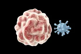 长期白细胞偏低可能的原因及危害，应摄入哪些食物？图片