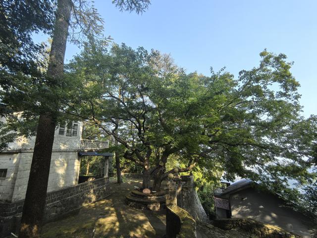 浙江湖州市德清县莫干山国家风景名胜区游记（下）
