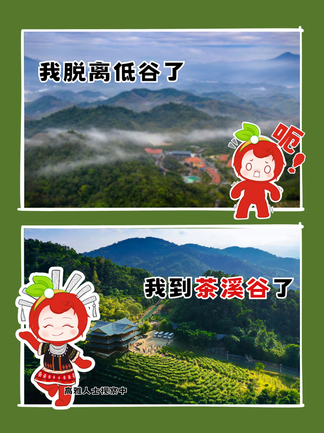 当我问周末去哪玩，谐音梗同事be like——保亭谐音梗