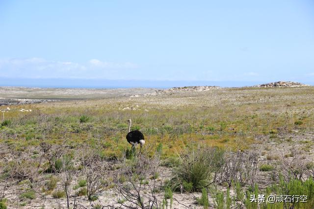 南部非洲：南非好旺角