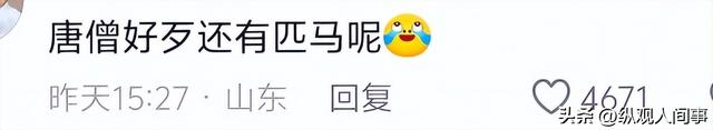 俩小伙从法国徒步一年走8000公里到新疆，目的地上海，网友震惊了