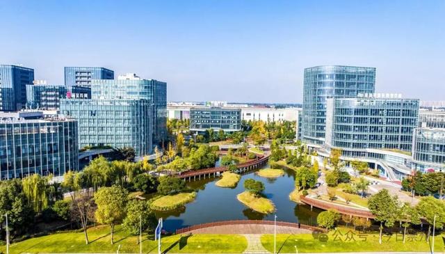 速来→崇州正上演初冬金色浪漫大片！