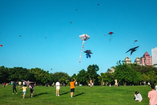 【深圳人私藏的“桃花源”被我曝光了】莲花山公园遛娃赏花全攻略