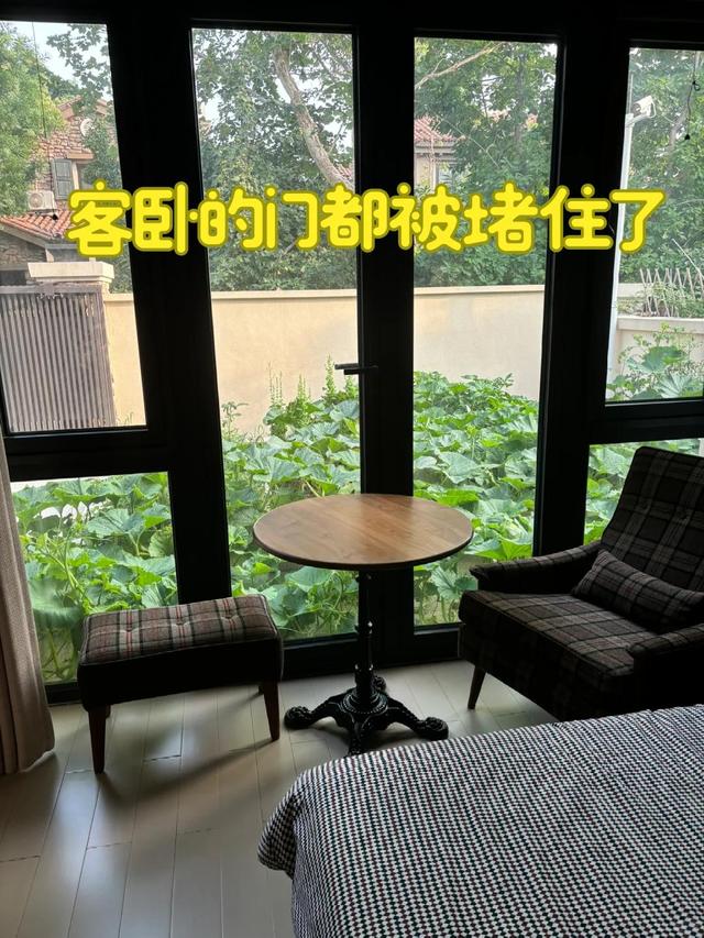 女子离家半个月，一院子南瓜“成了精”，网友：天呐，羡慕死了！