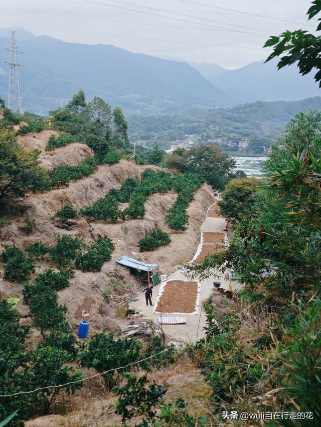 闽侯白沙居然有这么棒的观景台。距离福州1h，周末游玩超推荐。
