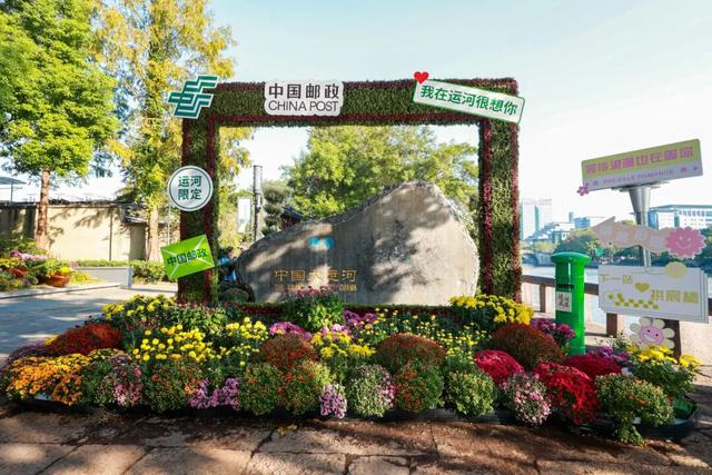 230种“秋韵”上线！拱墅这片花海藏不住了