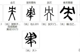 汉字探源：央图片