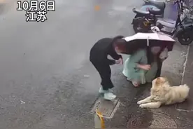 女子抚摸陌生大狗脸部被撕咬，监控拍下全过程，惨痛的教训！图片