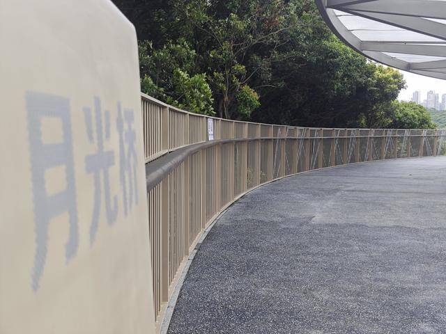 西丽湖国际科教城绿道高清随拍