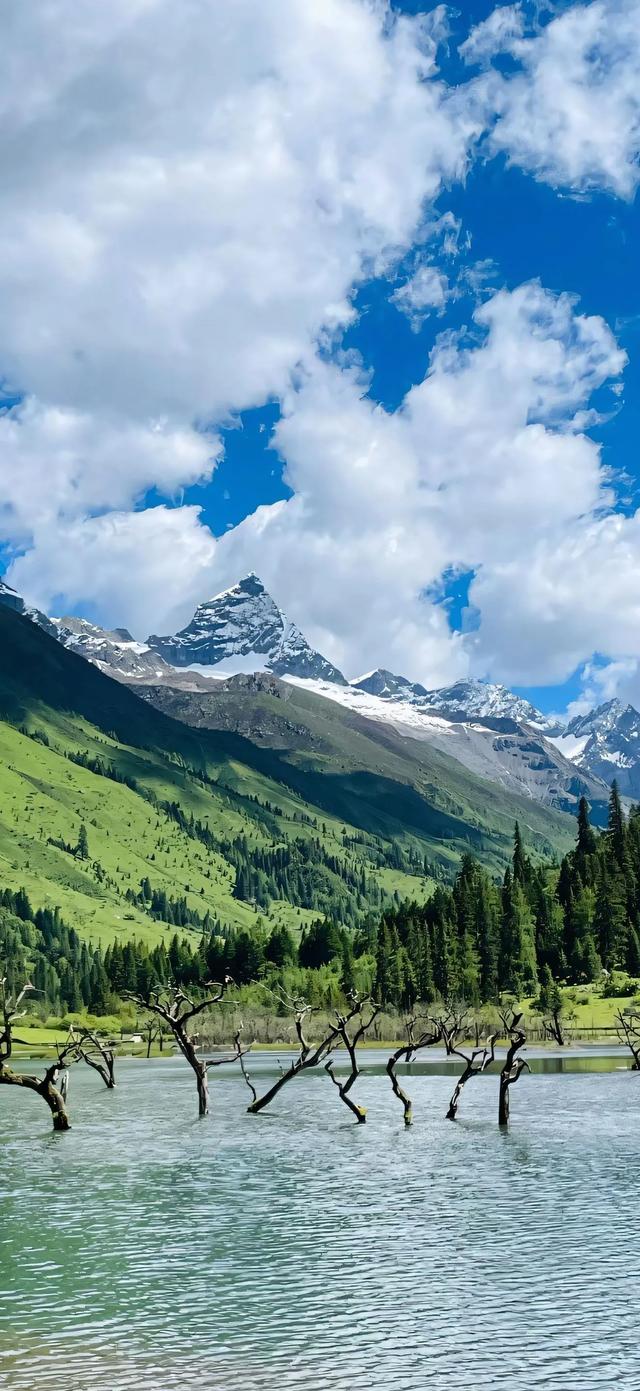 手机壁纸|清新的自然美景，风光无限