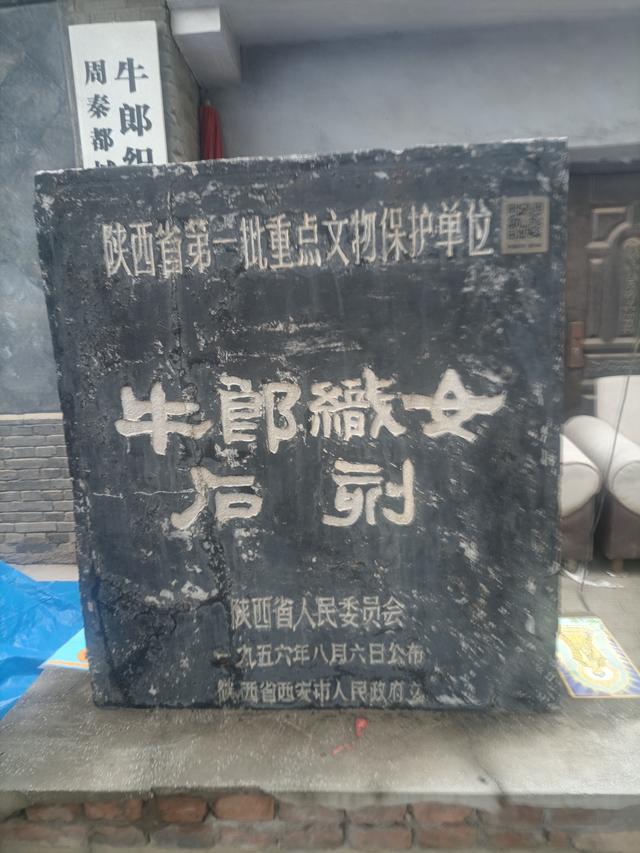 【未央老体协七夕节组织老年人一日游】