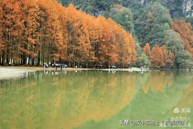 龙池秋色惹人醉