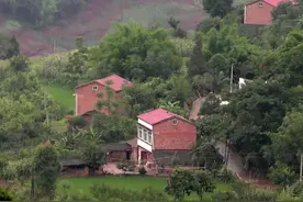 企事业单位人员不被确认为农村集体组织成员，相当于被剥夺了村籍图片