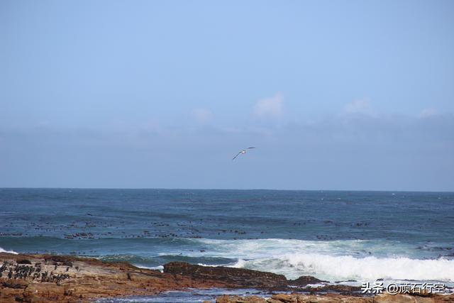 南部非洲：南非好旺角