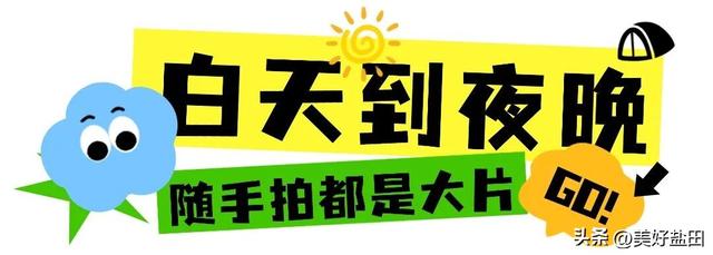 假期必打卡“海港灯火盛宴”！一张图刷爆朋友圈