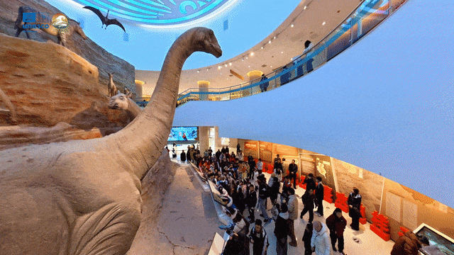 “冷知识”变“热场景”！临夏市文博春节档实力“圈粉”！