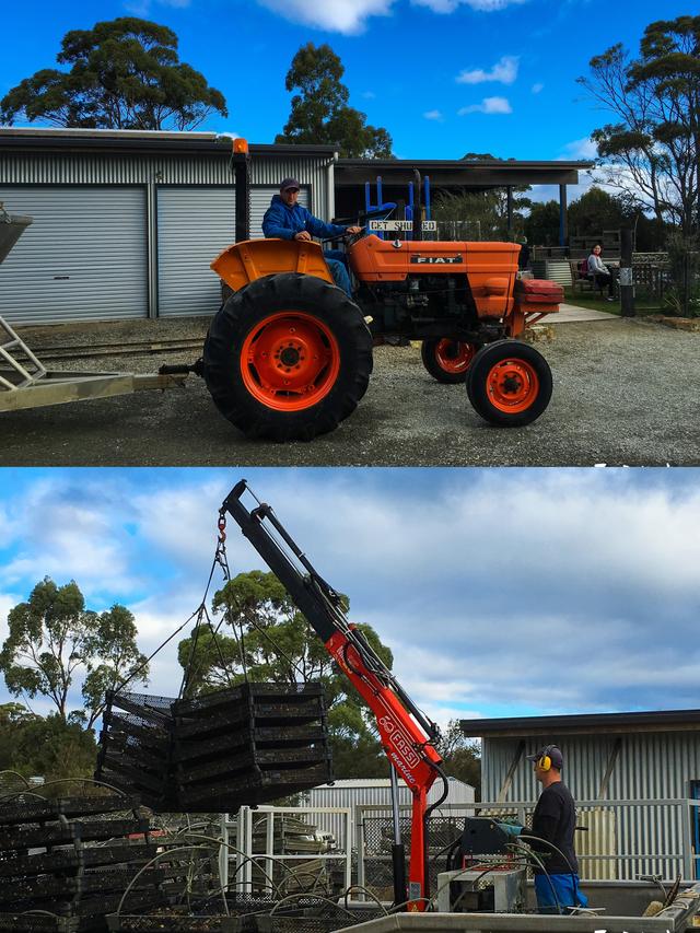 塔斯曼尼亚，全澳最鲜“海味自由”攻略，生蚝控一定要来