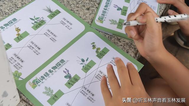 北流容心谷“探索自然之美，传诵诗韵风雅”主题研学活动广受好评