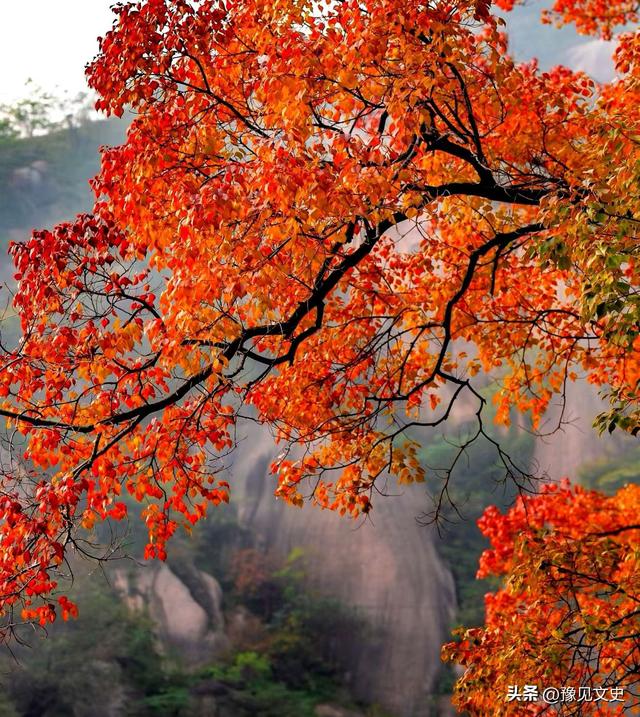 【天中记忆】青藤 || 千年古镇——关王庙