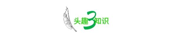 被挂上热搜的“超10万老人玩上瘾”事件，暴露当下社会残酷的现状