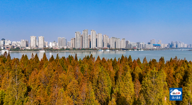 哎呀！谁打翻了襄阳“调色板”！