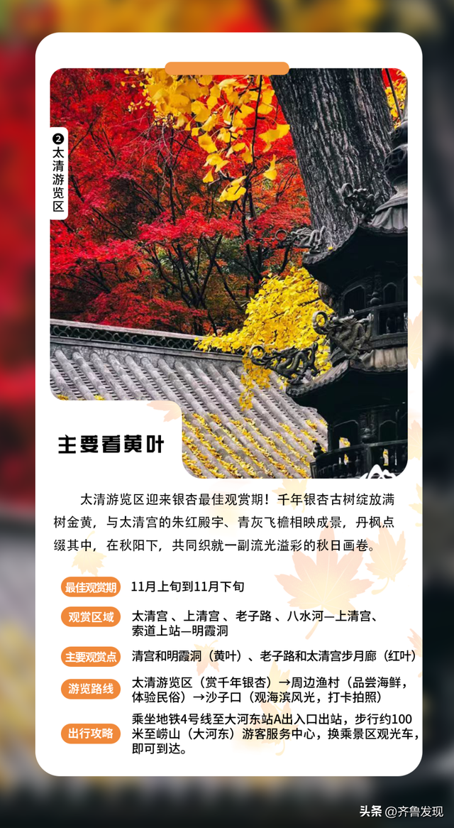 乘着地铁逛青岛丨神清宫350岁古树红了， 坐地铁去“打卡”特方便