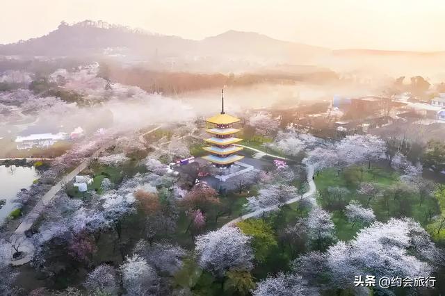奇了怪了！为什么有人喜欢拿武汉东湖与杭州西湖来进行比较？