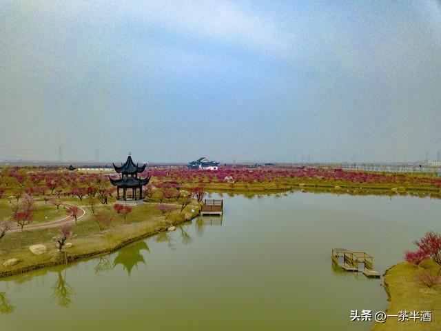 线路推荐！6天自驾连云港轻松游，景点美食免费营地深度联动