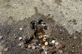 芝加哥"老鼠坑"突然走红 游客们纷纷前往朝圣打卡许愿 网友：太无聊图片