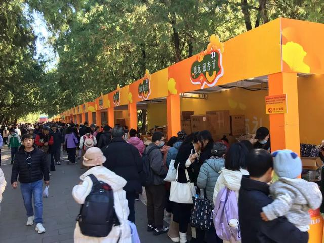 别急,地坛秋色还在!银杏节持续至本周末→