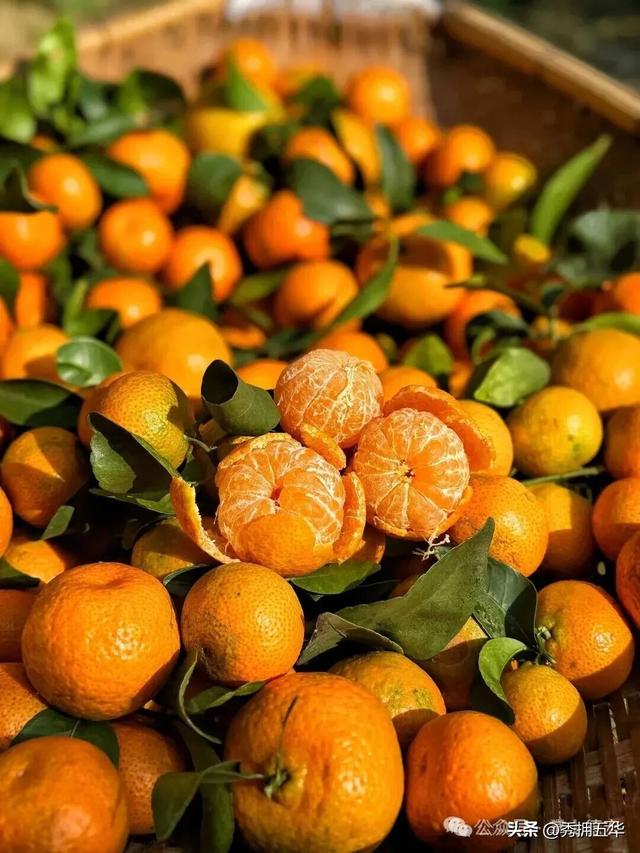 旅居云南｜德宏，是你安放身心、享受生活的最佳过冬地！