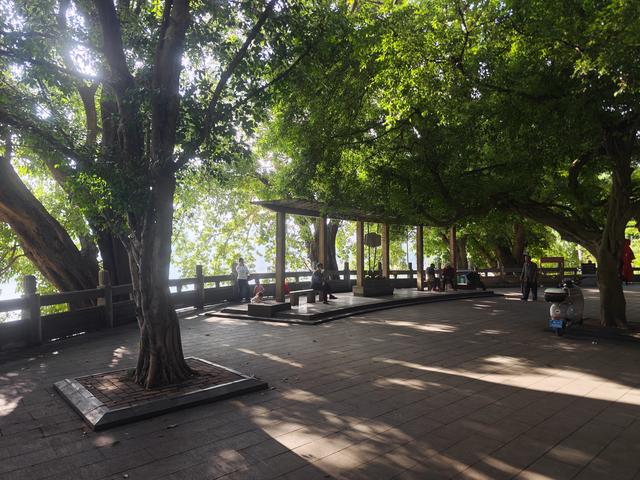 从广西博物馆到三街两巷【高清大图】