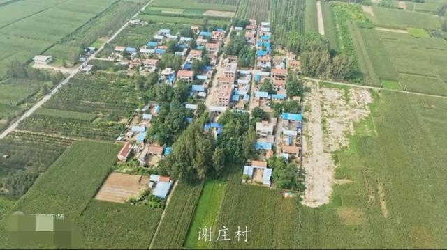 魅力曹县楼庄镇