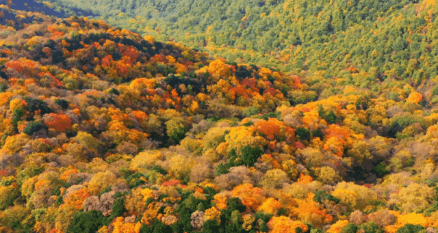广元旺苍，倒也不必美得如此满分！！！