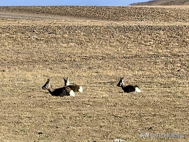 喀什经317到成都，尼玛-班戈，途经达则措、恰规措、色林措