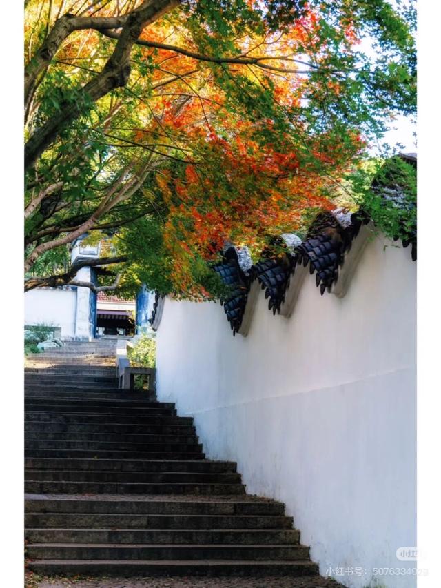 来虎丘山，这里有你更好看！