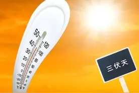 三伏将至，建议大家：少吃带鱼和草鱼，多吃4样，营养肥美还不贵图片