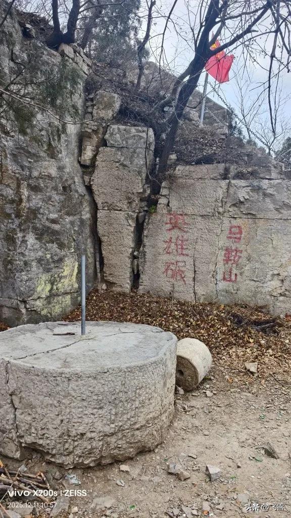 接受红色教育，传承红色基因