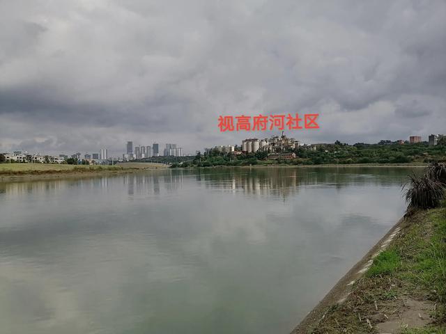 双流／华阳／仁寿苏码头历史资料