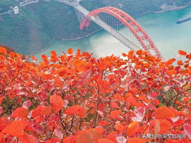 徒步三峡：霜叶漫山处，一步一千年