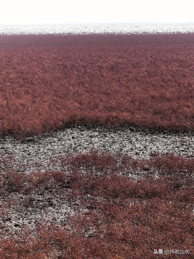 2025辽宁赏秋之旅日记(5)——从本溪前往盘锦 游览红海滩景观