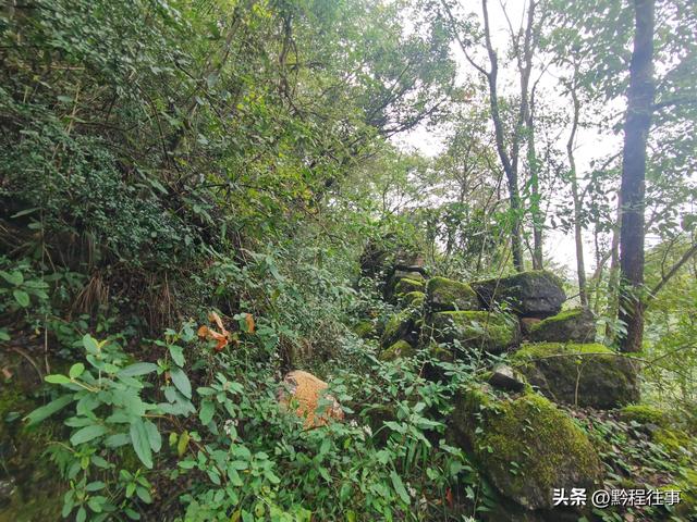 探寻龙眼山古寺遗址，一次最为艰难的野外探险之旅