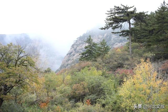 彩色山间，承包你的秋日朋友圈！河北赤城邀您打卡