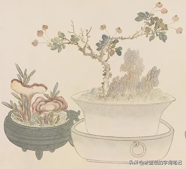 甫作为姓氏又该怎么读？台甫、惊魂甫定又是什么意思？