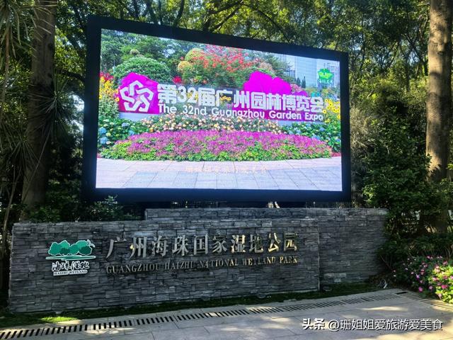 广州周末治愈地！地铁直达城央湿地，花湖鸟+草地野餐解锁松弛感