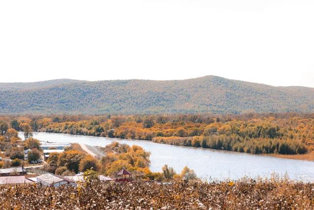 一站直达！还能免住宿费！快来看有哪些列车！