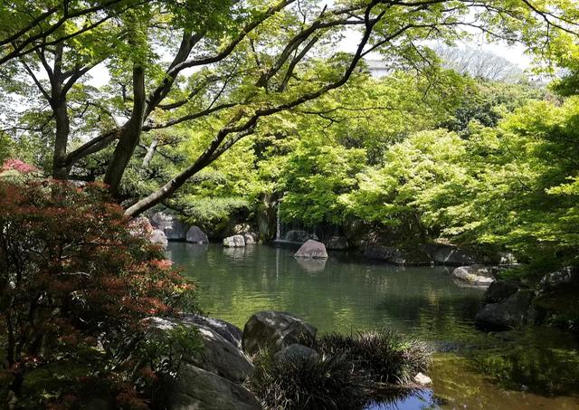 昆明又一公园火了，人少景美、适合垂钓、赏花、拍照