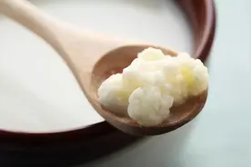 肠道菌群对健康很重要，这8种简单发酵食品可促进消化和健康图片